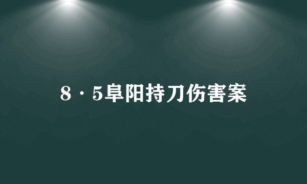 8·5阜阳持刀伤害案