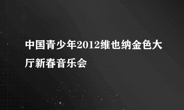 中国青少年2012维也纳金色大厅新春音乐会