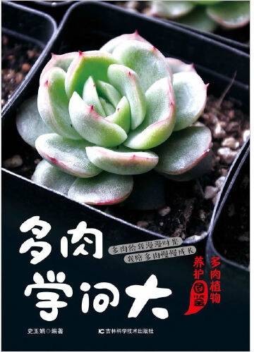 多肉学问大