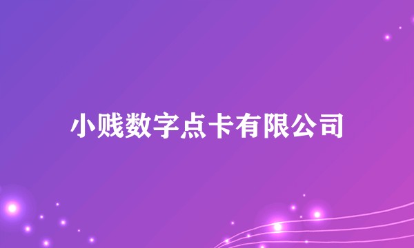 小贱数字点卡有限公司