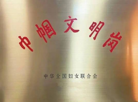 2025年度全国巾帼文明岗