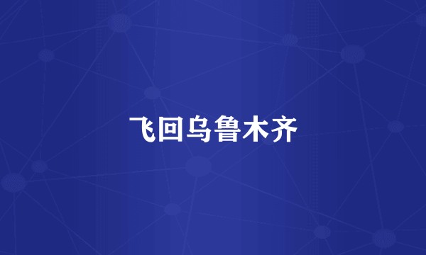 飞回乌鲁木齐