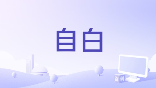 自白（1979年Pascal Rémy执导的电影）