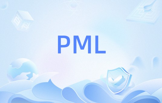 PML（完全匹配）