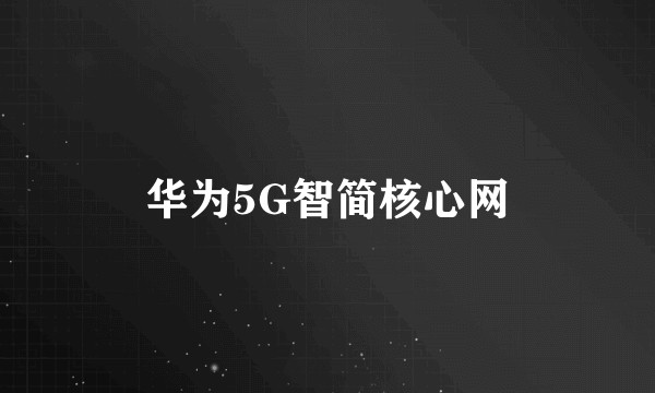 华为5G智简核心网