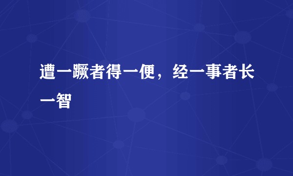 遭一蹶者得一便，经一事者长一智