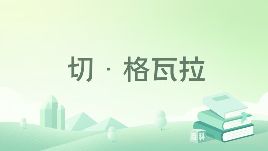 切·格瓦拉（民主与建设出版社出版的书籍）