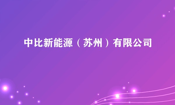 中比新能源（苏州）有限公司
