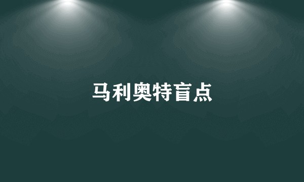 马利奥特盲点