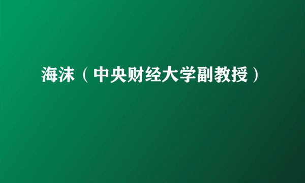 海沫（中央财经大学副教授）