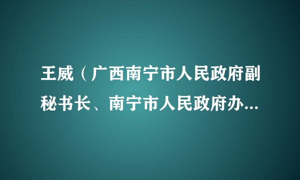 王威（广西南宁市人民政府副秘书长、南宁市人民政府办公室副主任、党组成员）