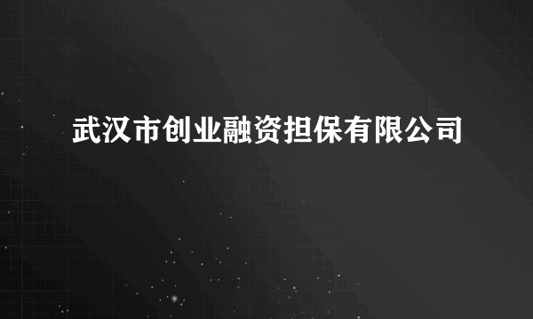武汉市创业融资担保有限公司