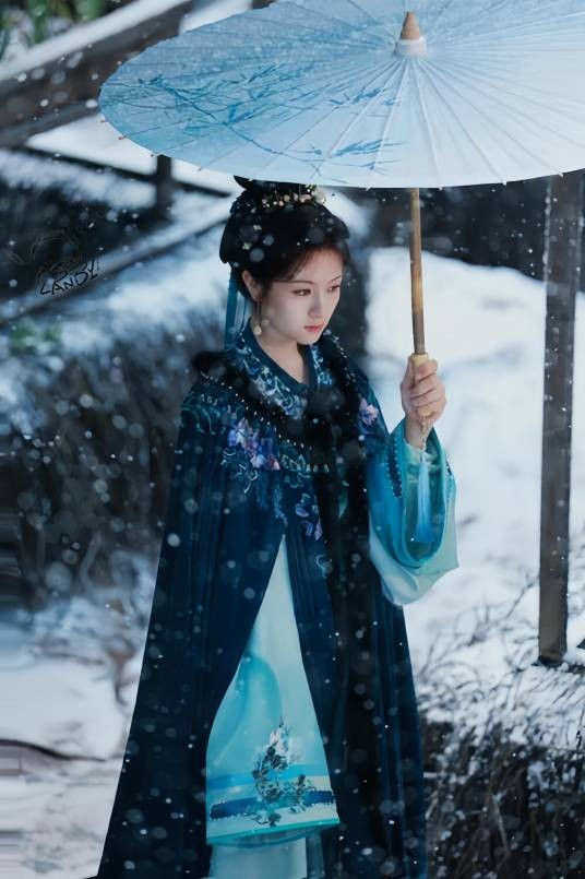 沈莞(电视剧《朝雪录》中的女主角)