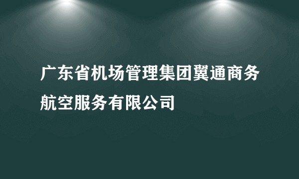 广东省机场管理集团翼通商务航空服务有限公司