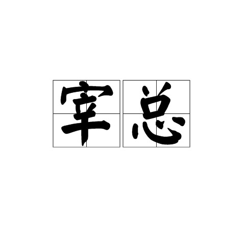 宰总