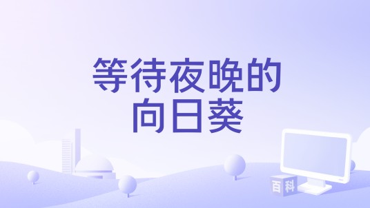 等待夜晚的向日葵