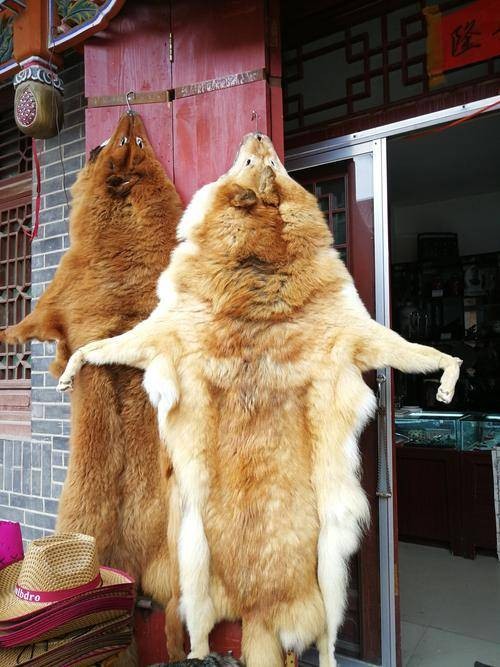 黄狼皮