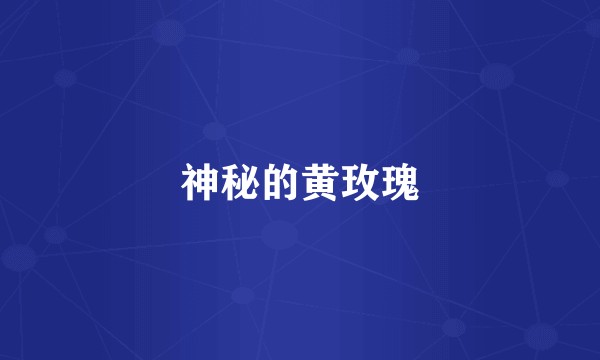 神秘的黄玫瑰