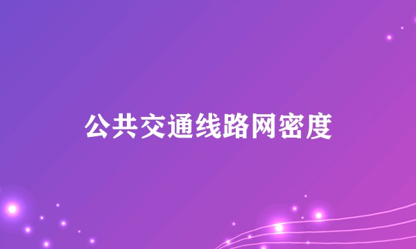 公共交通线路网密度