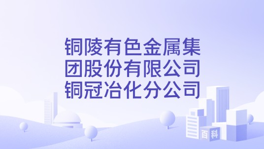 铜陵有色金属集团股份有限公司铜冠冶化分公司