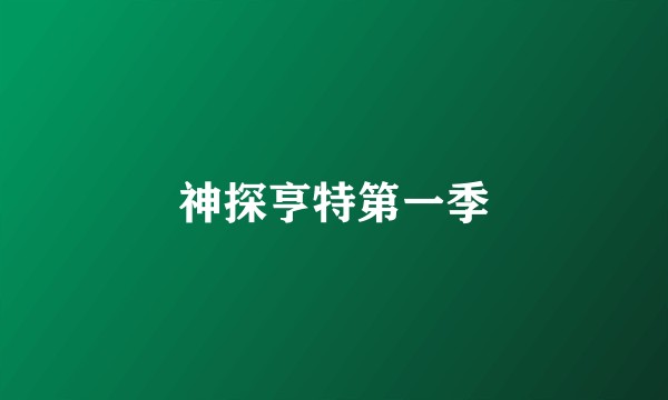神探亨特第一季
