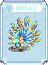 彩冠孔雀王