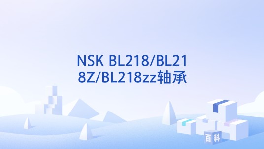 NSK BL218/BL218Z/BL218zz轴承