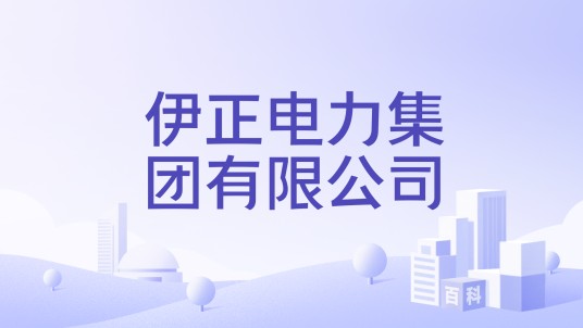 伊正电力集团有限公司