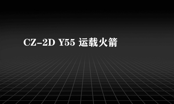 CZ-2D Y55 运载火箭