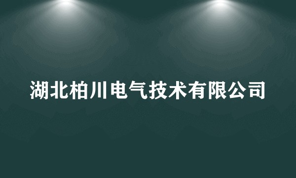 湖北柏川电气技术有限公司