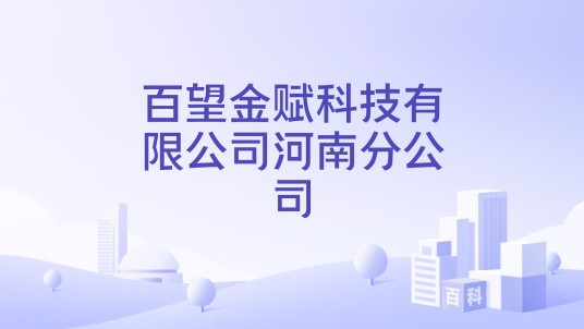 百望金赋科技有限公司河南分公司