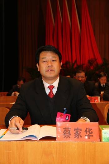 蔡家华（湖北省麻城市歧亭镇党委书记）
