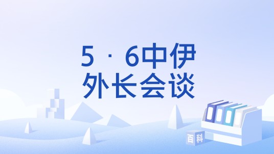 5·6中伊外长会谈