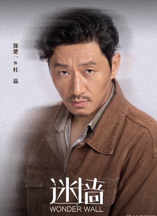杜磊（电视剧《迷墙》中的角色）