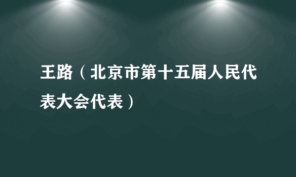 王路（北京市第十五届人民代表大会代表）