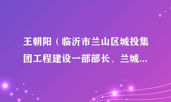 王朝阳（临沂市兰山区城投集团工程建设一部部长、兰城置业总经理）