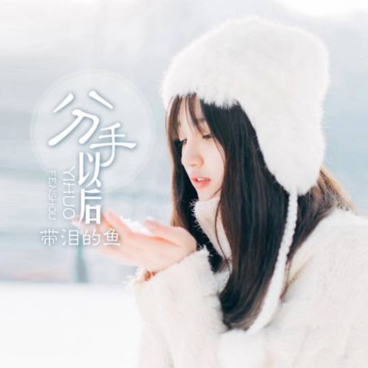 分手以后（带泪的鱼演唱歌曲）