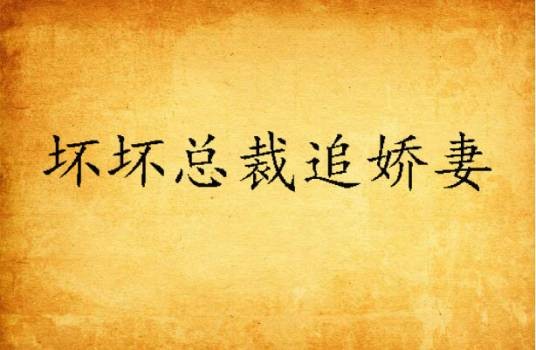 坏坏总裁追娇妻