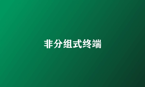 非分组式终端