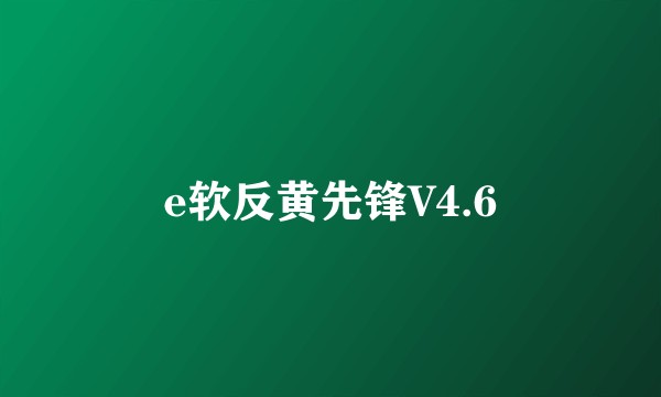 e软反黄先锋V4.6