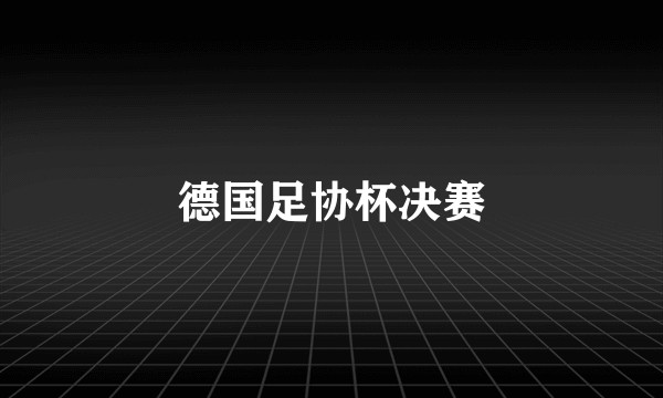 德国足协杯决赛