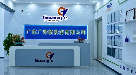广东广特新能源有限公司