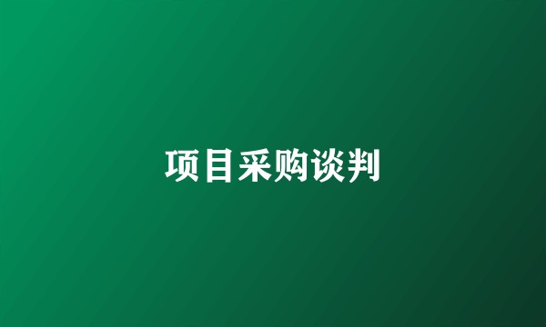 项目采购谈判