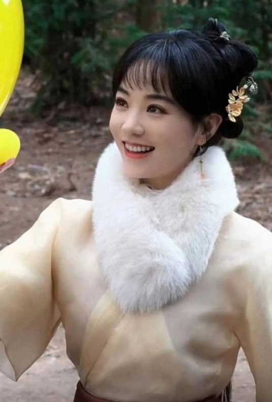 阿兰（电视剧《雁回时》中的角色）