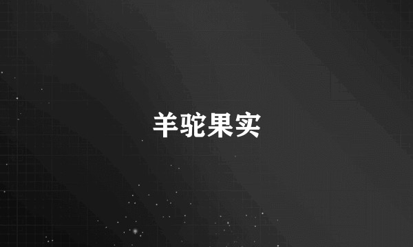 羊驼果实