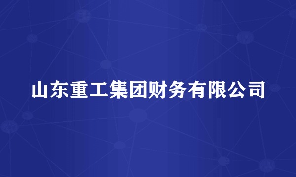 山东重工集团财务有限公司