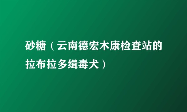 砂糖（云南德宏木康检查站的拉布拉多缉毒犬）