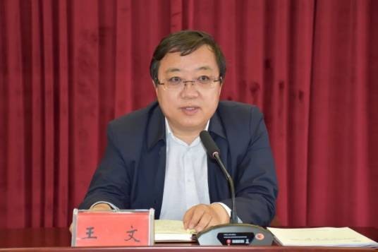 王文（凉城县县委书记、凉城县二级巡视员）