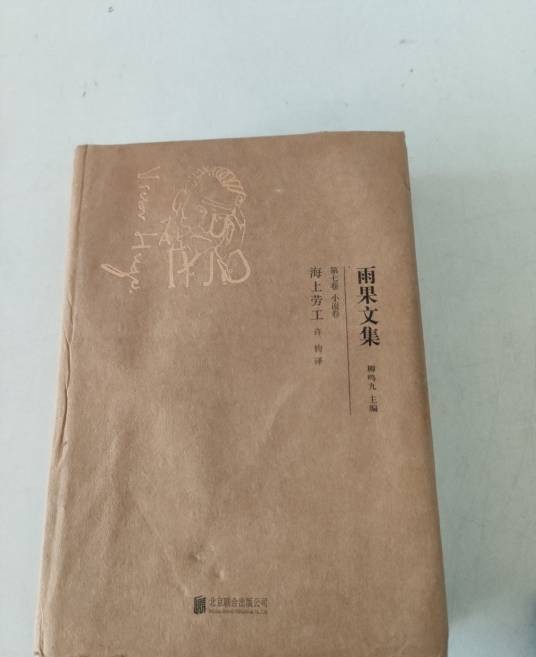 海上劳工/雨果文集
