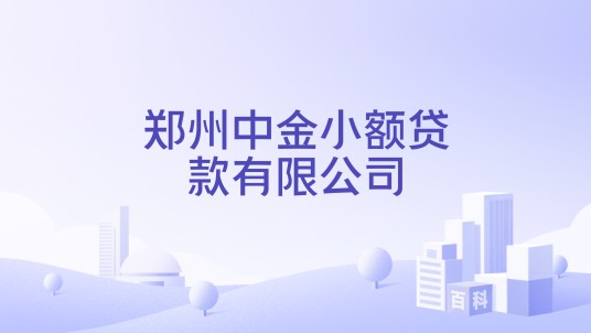 郑州中金小额贷款有限公司